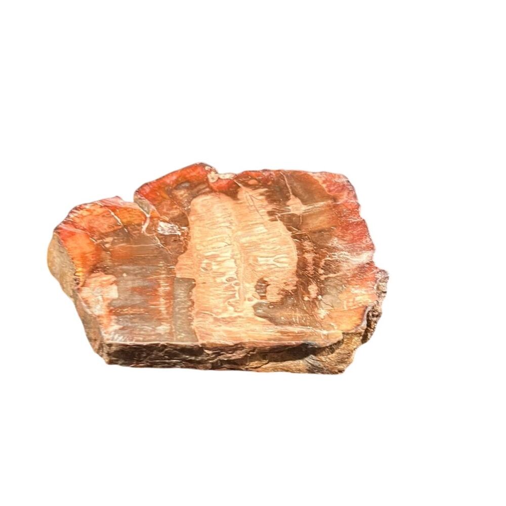 Petrified Wood Slab Natural Fossilized Wood Crystal